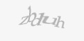 Қорғаныс коды